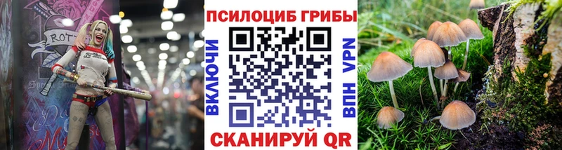 hydra tor  Далматово  Галлюциногенные грибы MAGIC MUSHROOMS 